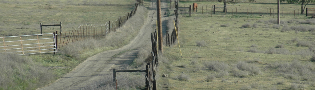 Fences offset along the San Andreas Fault in west-central California.