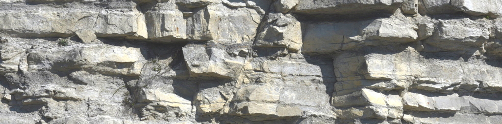 Fault in the lower Austin Chalk (Cretaceous) exposed in a wall of the Lehigh Quarry near McGregor, Texas.