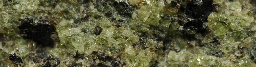 Green olivine in a dunite xenolith.